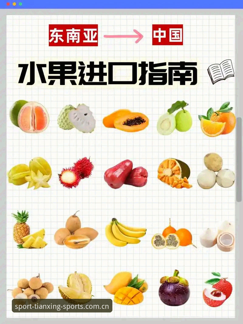 天行体育最新版本安装与使用教程：2025新版功能与操作指南